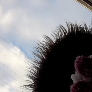 Meet your Posher, Coco